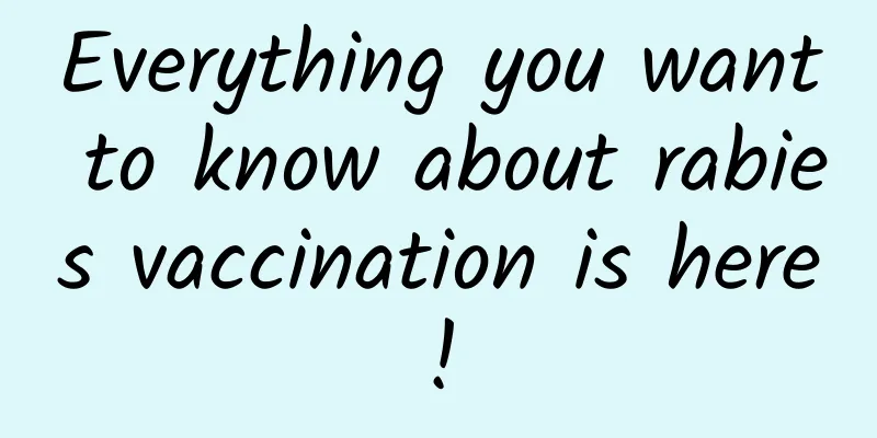 Everything you want to know about rabies vaccination is here!