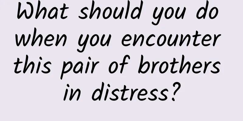 What should you do when you encounter this pair of brothers in distress?