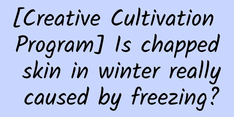 [Creative Cultivation Program] Is chapped skin in winter really caused by freezing?