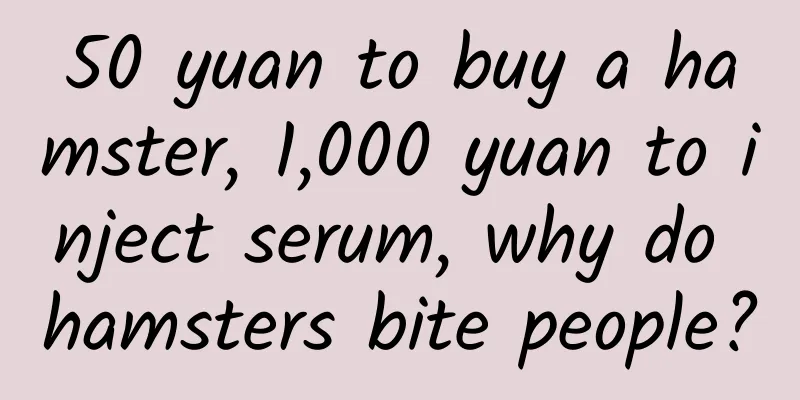 50 yuan to buy a hamster, 1,000 yuan to inject serum, why do hamsters bite people?