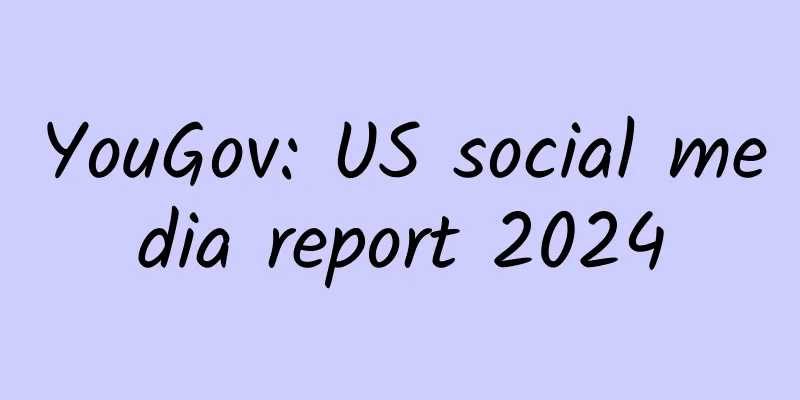 YouGov: US social media report 2024