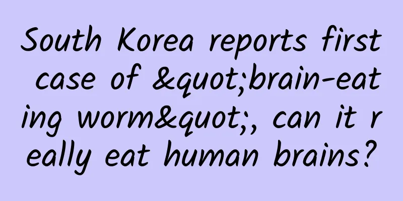 South Korea reports first case of "brain-eating worm", can it really eat human brains?