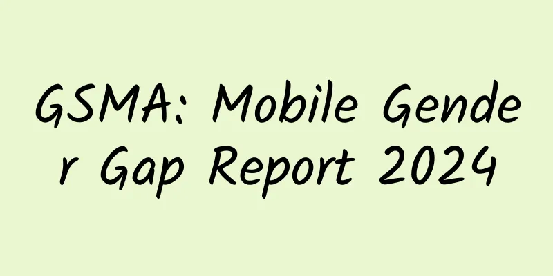 GSMA: Mobile Gender Gap Report 2024