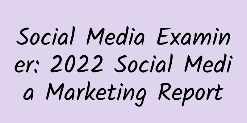 Social Media Examiner: 2022 Social Media Marketing Report