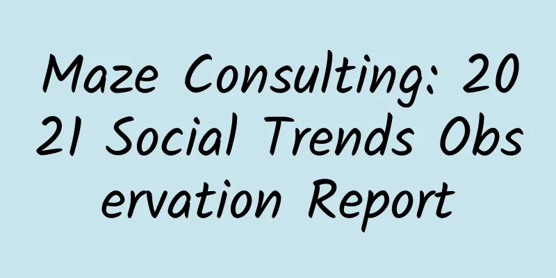 Maze Consulting: 2021 Social Trends Observation Report