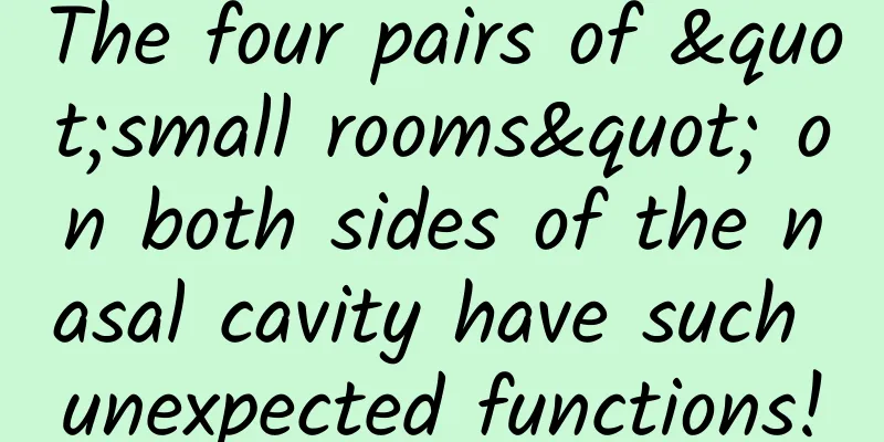 The four pairs of "small rooms" on both sides of the nasal cavity have such unexpected functions!