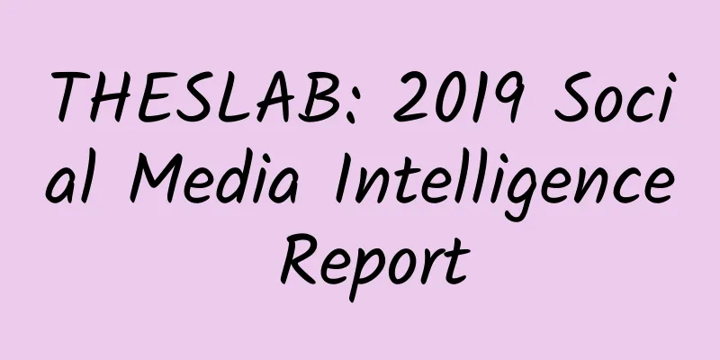 THESLAB: 2019 Social Media Intelligence Report