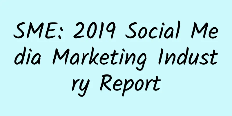 SME: 2019 Social Media Marketing Industry Report