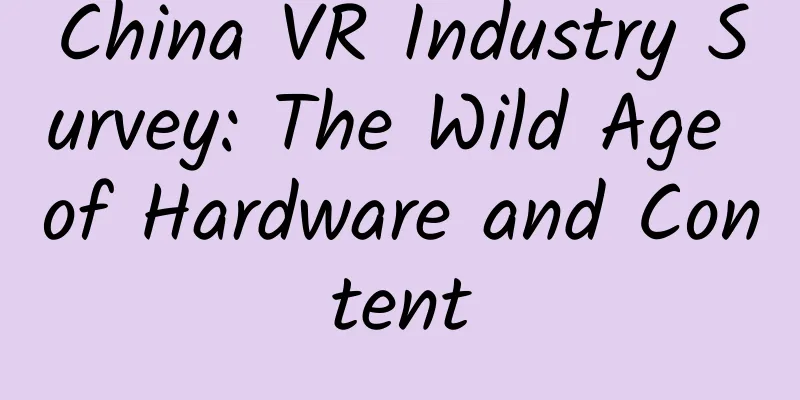 China VR Industry Survey: The Wild Age of Hardware and Content
