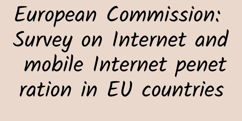 European Commission: Survey on Internet and mobile Internet penetration in EU countries