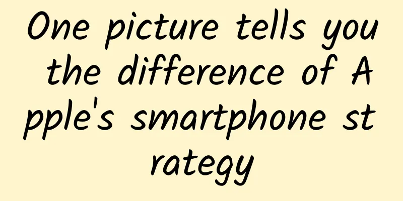 One picture tells you the difference of Apple's smartphone strategy