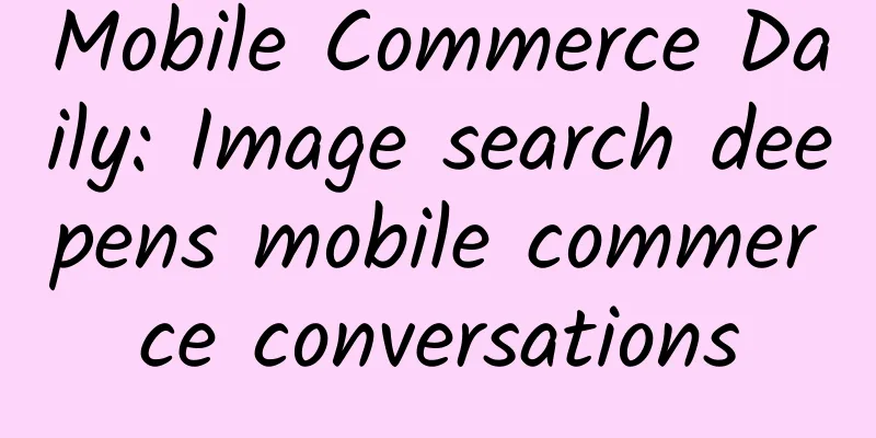 Mobile Commerce Daily: Image search deepens mobile commerce conversations