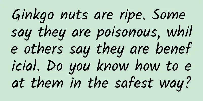 Ginkgo nuts are ripe. Some say they are poisonous, while others say they are beneficial. Do you know how to eat them in the safest way?