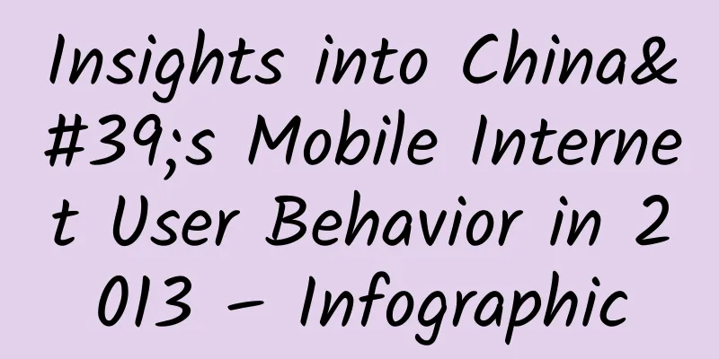 Insights into China's Mobile Internet User Behavior in 2013 – Infographic