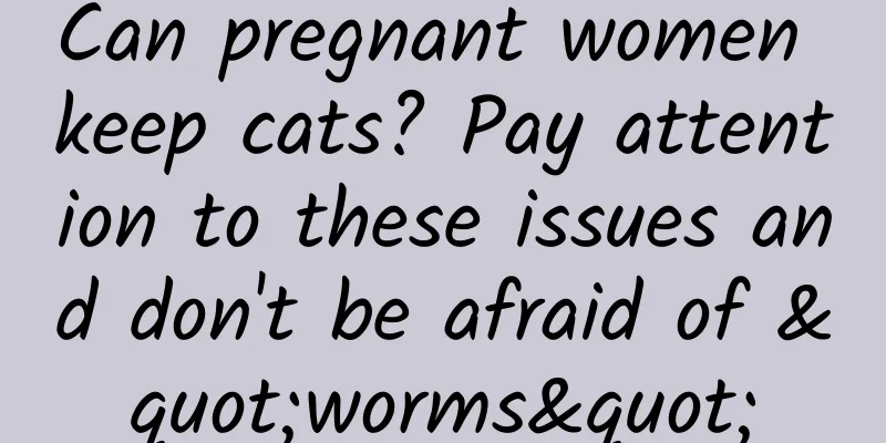 Can pregnant women keep cats? Pay attention to these issues and don't be afraid of "worms"