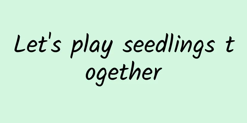 Let's play seedlings together