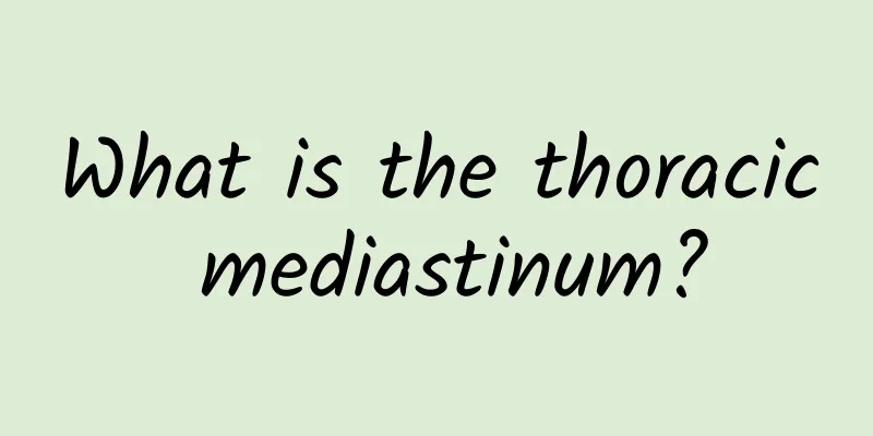 What is the thoracic mediastinum?