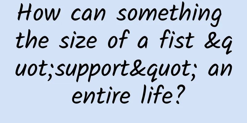 How can something the size of a fist "support" an entire life?