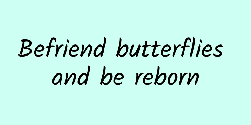 Befriend butterflies and be reborn