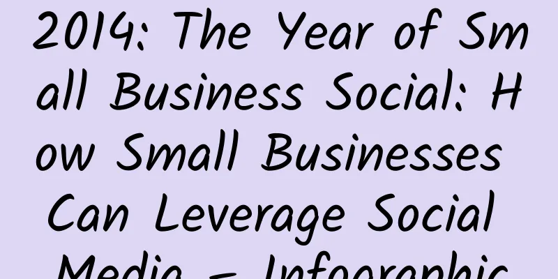 2014: The Year of Small Business Social: How Small Businesses Can Leverage Social Media – Infographic