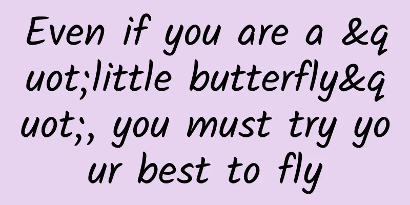 Even if you are a "little butterfly", you must try your best to fly