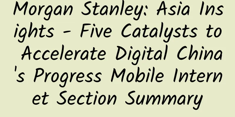 Morgan Stanley: Asia Insights - Five Catalysts to Accelerate Digital China's Progress Mobile Internet Section Summary