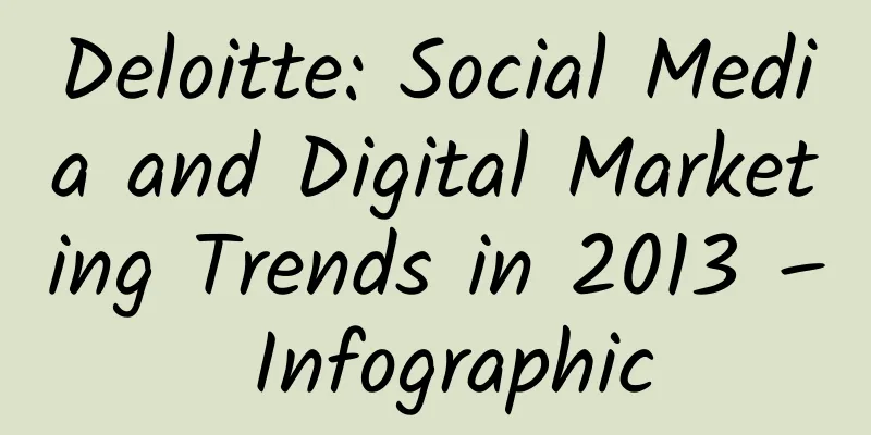 Deloitte: Social Media and Digital Marketing Trends in 2013 – Infographic