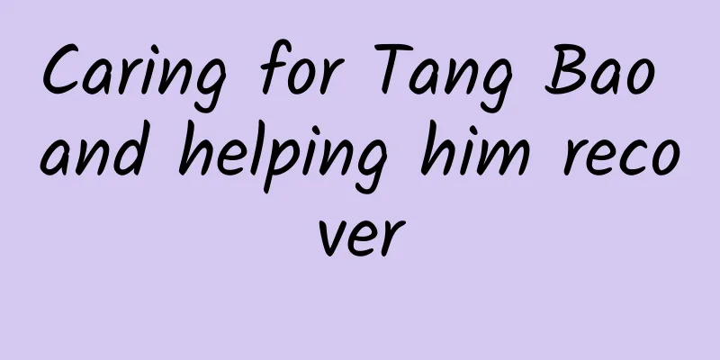 Caring for Tang Bao and helping him recover