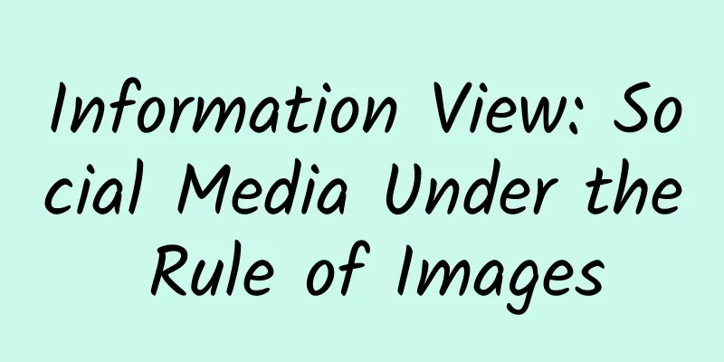 Information View: Social Media Under the Rule of Images