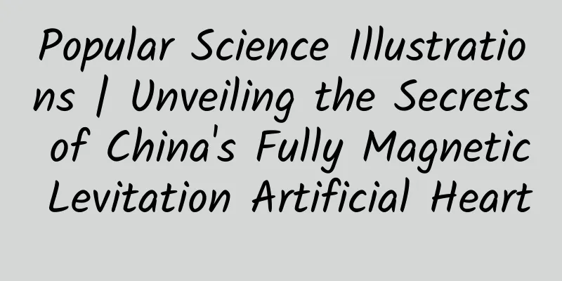 Popular Science Illustrations | Unveiling the Secrets of China's Fully Magnetic Levitation Artificial Heart