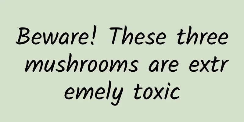 Beware! These three mushrooms are extremely toxic
