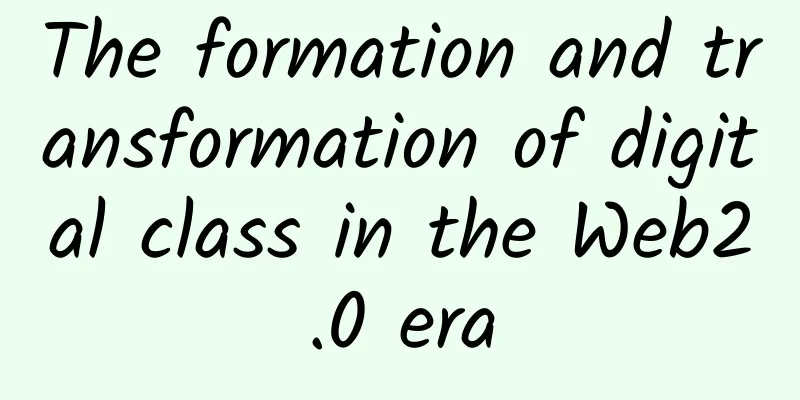 The formation and transformation of digital class in the Web2.0 era