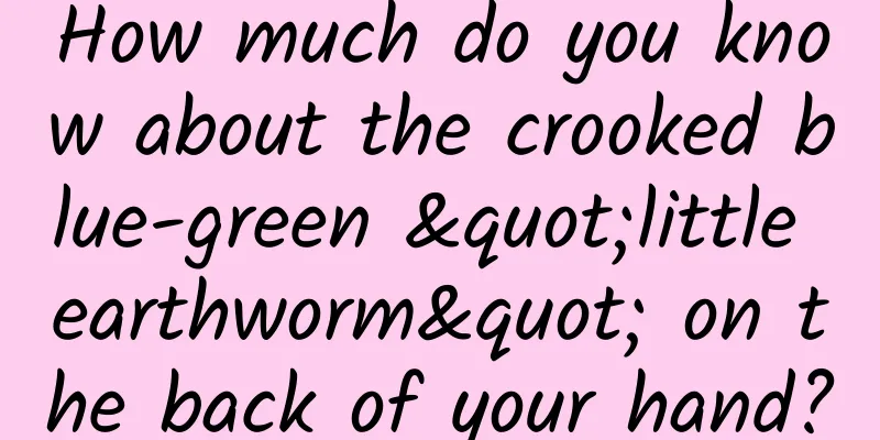 How much do you know about the crooked blue-green "little earthworm" on the back of your hand?