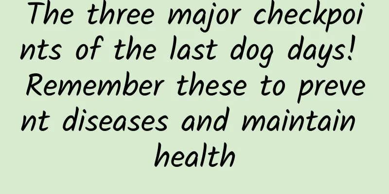 The three major checkpoints of the last dog days! Remember these to prevent diseases and maintain health