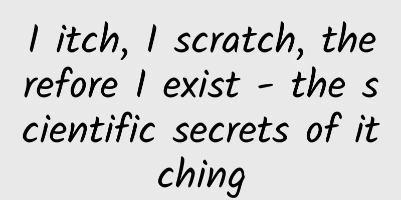 I itch, I scratch, therefore I exist - the scientific secrets of itching