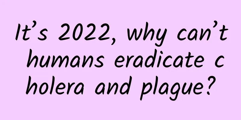 It’s 2022, why can’t humans eradicate cholera and plague?