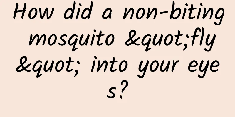 How did a non-biting mosquito "fly" into your eyes?