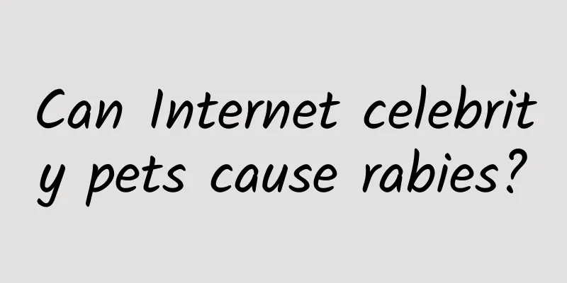 Can Internet celebrity pets cause rabies?