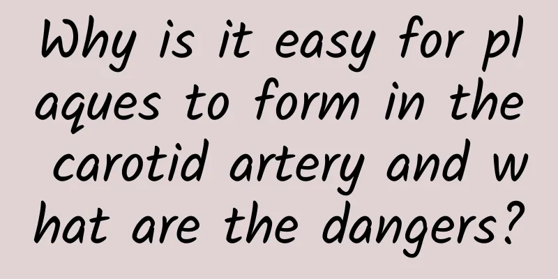 Why is it easy for plaques to form in the carotid artery and what are the dangers?