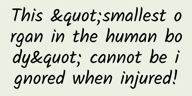 This "smallest organ in the human body" cannot be ignored when injured!