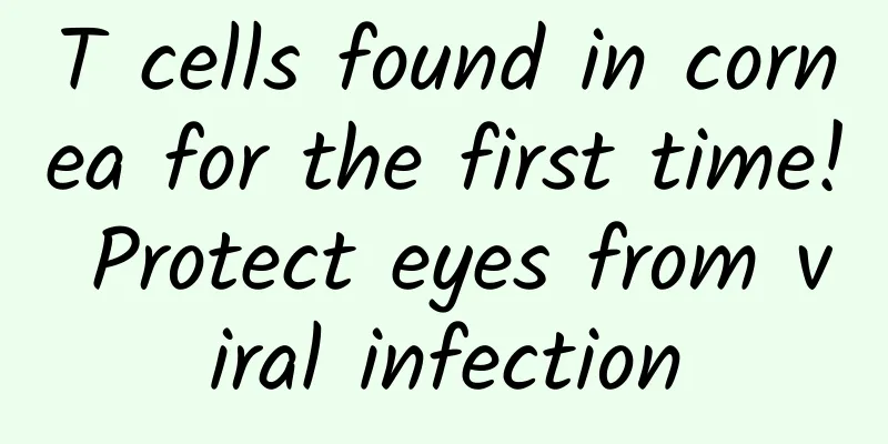 T cells found in cornea for the first time! Protect eyes from viral infection