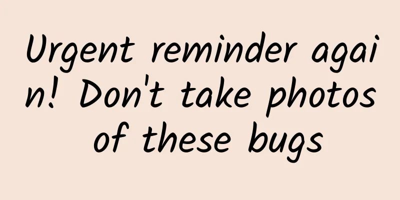 Urgent reminder again! Don't take photos of these bugs