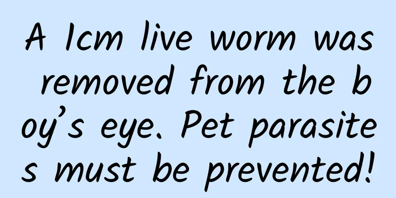 A 1cm live worm was removed from the boy’s eye. Pet parasites must be prevented!