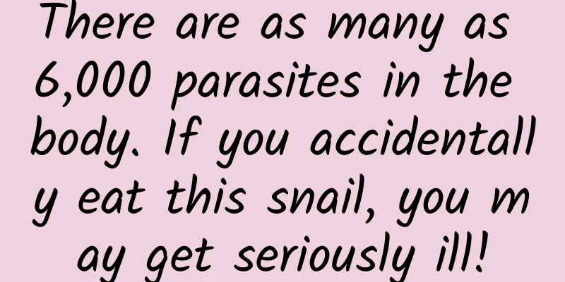 There are as many as 6,000 parasites in the body. If you accidentally eat this snail, you may get seriously ill!