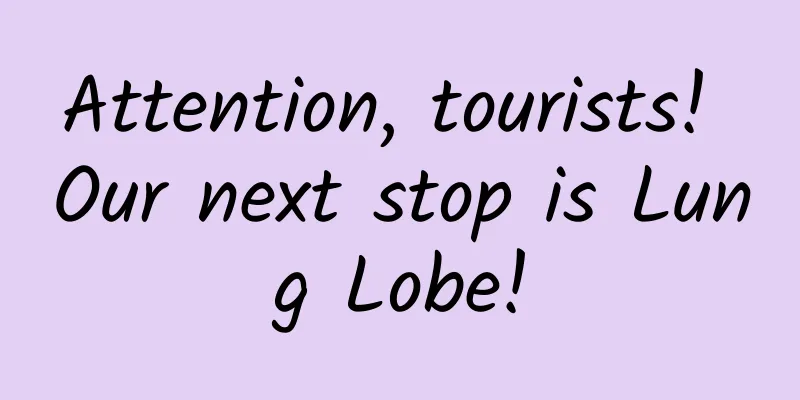 Attention, tourists! Our next stop is Lung Lobe!