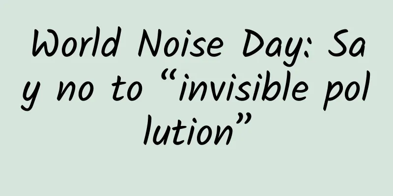 World Noise Day: Say no to “invisible pollution”