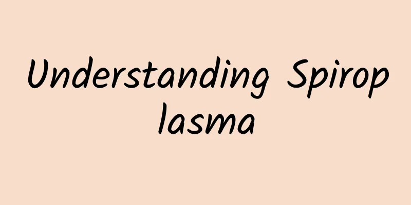 Understanding Spiroplasma