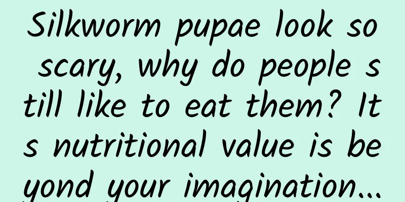Silkworm pupae look so scary, why do people still like to eat them? Its nutritional value is beyond your imagination...