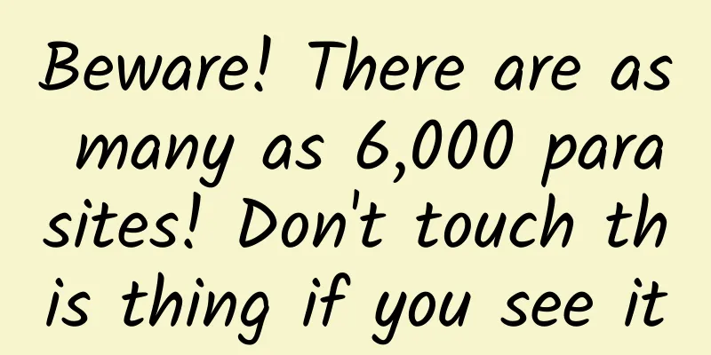 Beware! There are as many as 6,000 parasites! Don't touch this thing if you see it