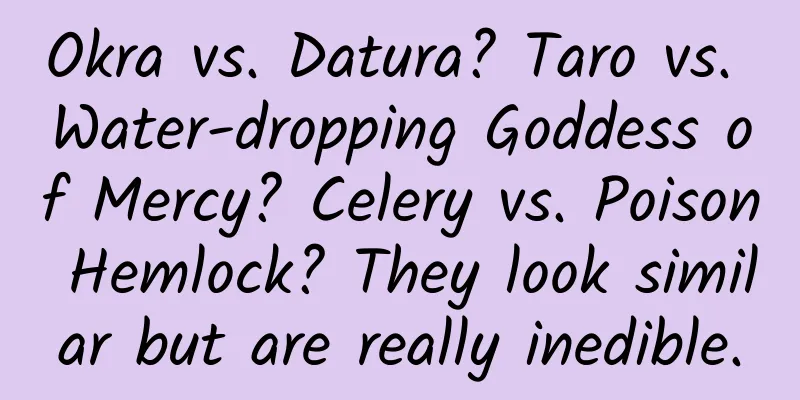 Okra vs. Datura? Taro vs. Water-dropping Goddess of Mercy? Celery vs. Poison Hemlock? They look similar but are really inedible.